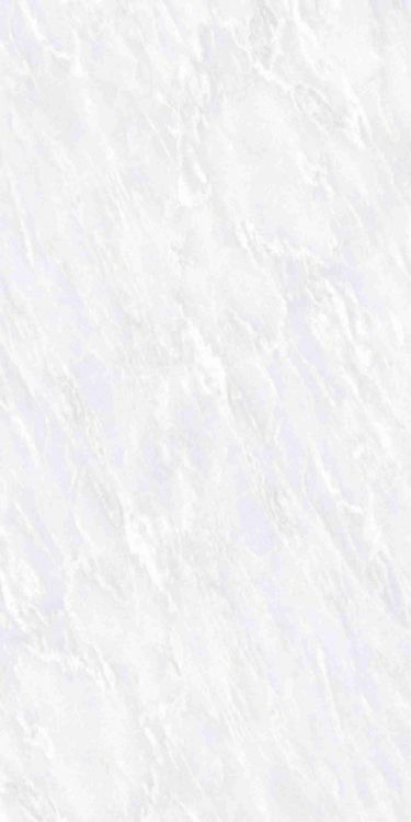 OL Vivid White Matte 12 x 24